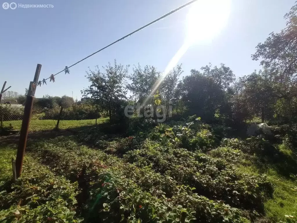 Участок в Островский район, Воронцовская волость, деревня Шики (7.3 м) - Фото 0