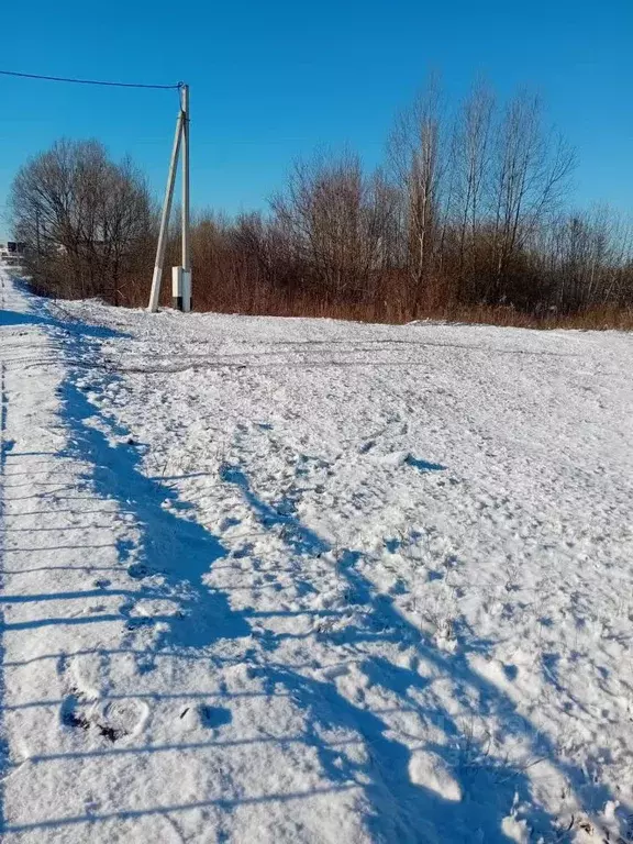 Участок в Белгородская область, Красногвардейский район, Засосенское ... - Фото 1