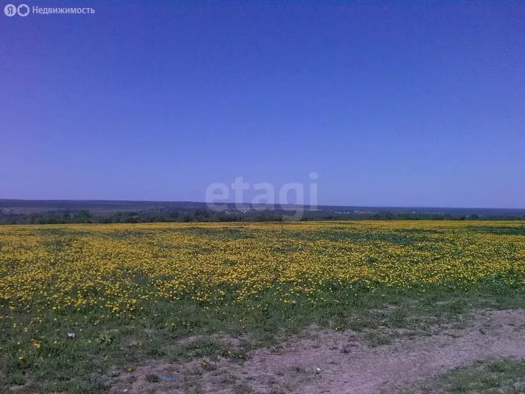 Участок в Ярославская область, Тутаевский муниципальный округ, деревня ... - Фото 2