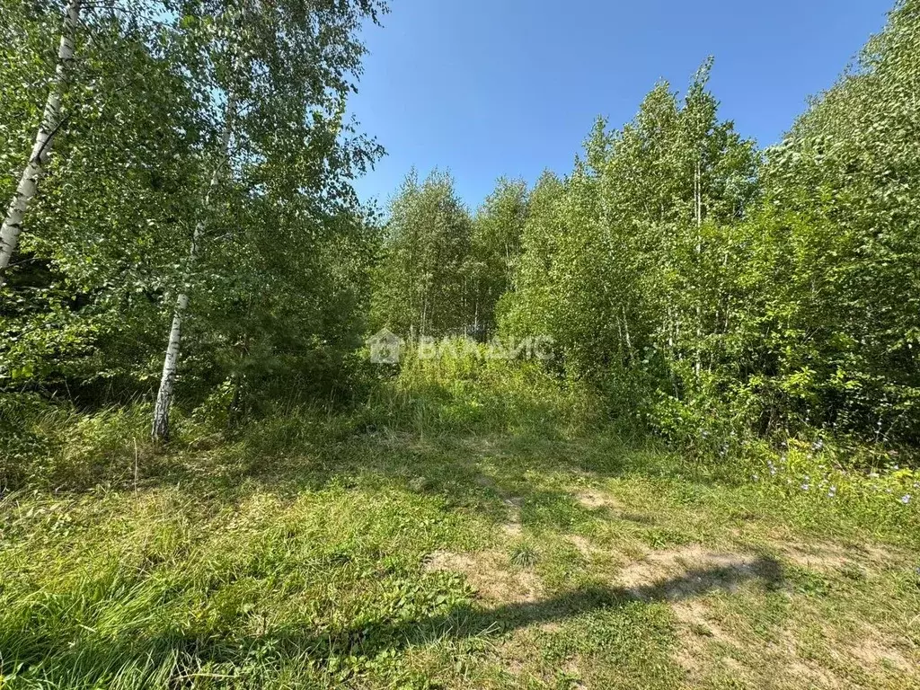 Участок в Пензенская область, Пензенский район, Алферьевский ... - Фото 1