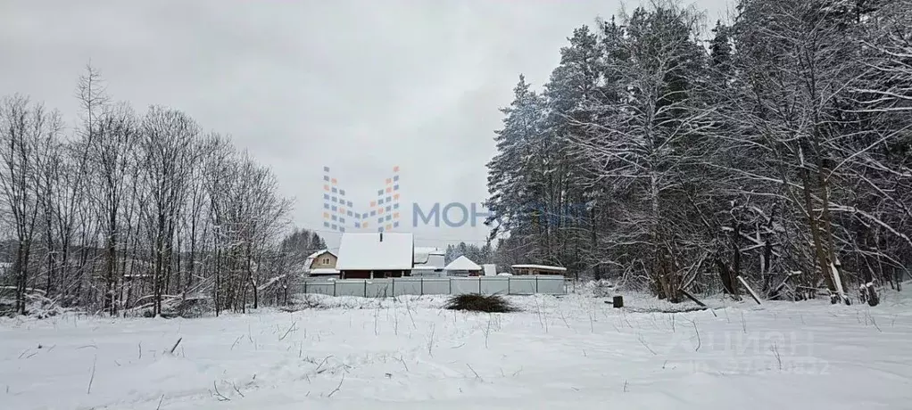 Участок в Нижегородская область, Богородский муниципальный округ, ... - Фото 1