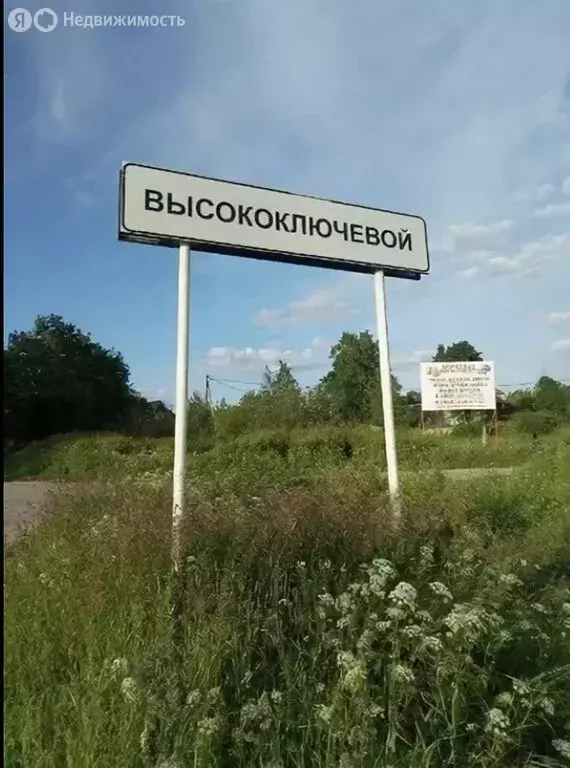 Участок в посёлок Высокоключевой, Большой проспект, 25 (25 м) - Фото 0