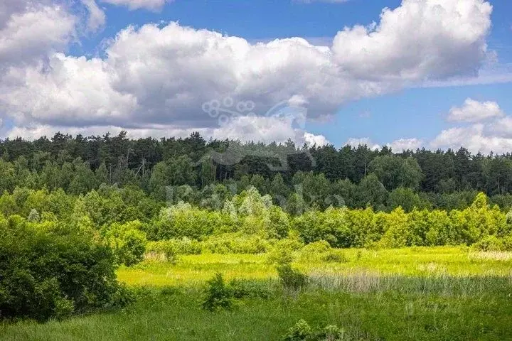 Участок в Московская область, Одинцовский городской округ, д. Раздоры ... - Фото 0