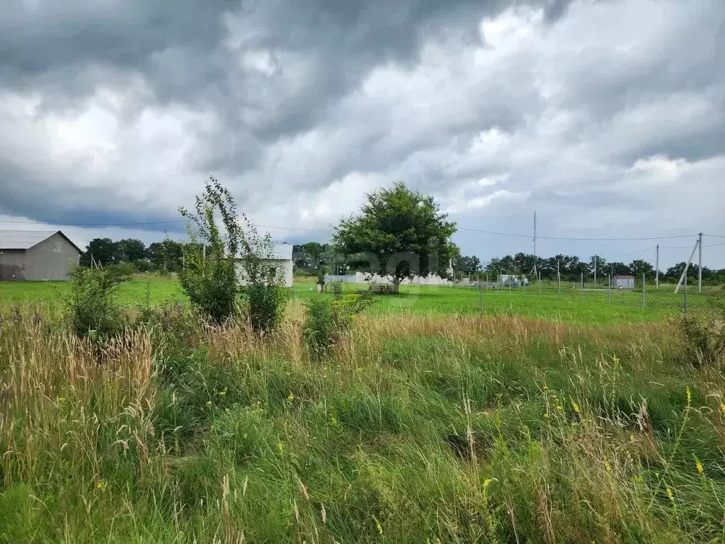 Участок в Калининградская область, Багратионовский муниципальный ... - Фото 2