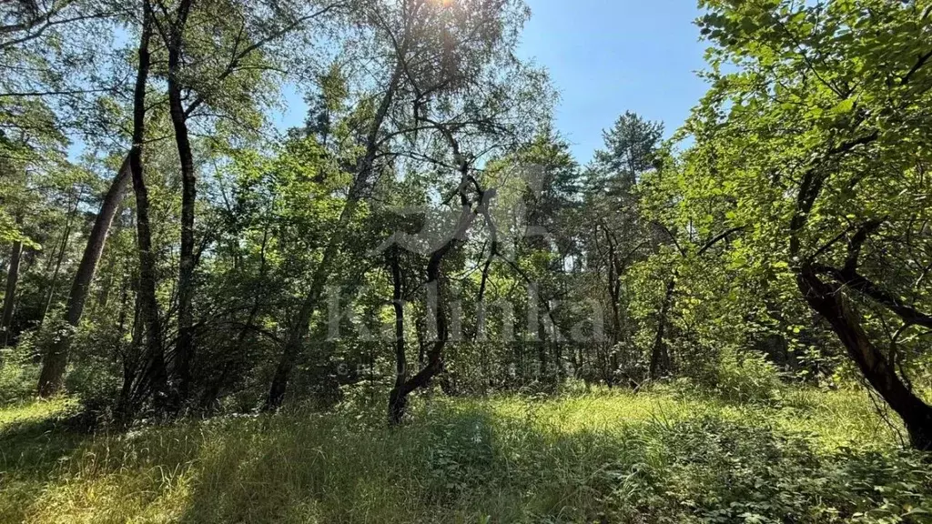 Участок в Москва 2-я Хорошевского Серебряного Бора линия (96.0 сот.) - Фото 1