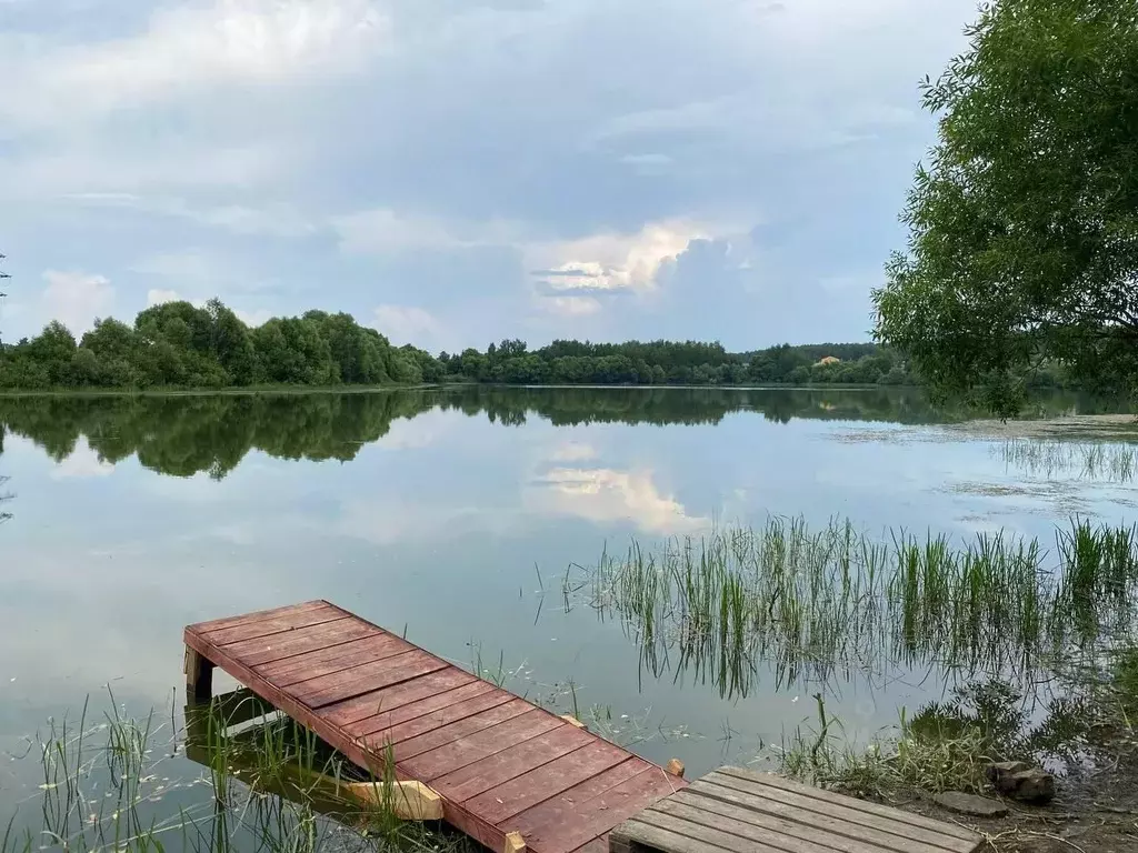 Участок в Московская область, Раменский городской округ, д. Васильево  ... - Фото 0