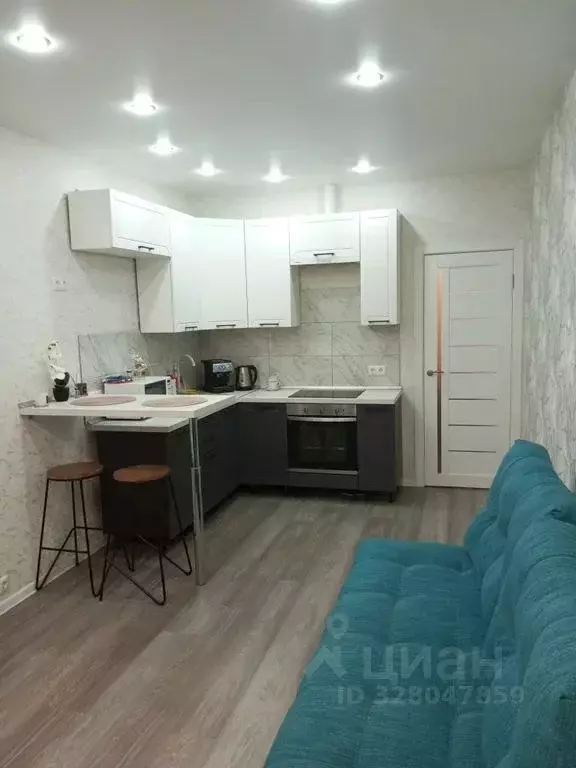 Студия Московская область, Ногинск Богородский городской округ, ул. ... - Фото 2