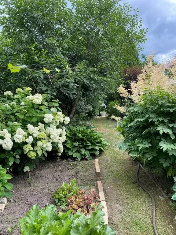 Дом в Нижегородская область, Бор Стеклозаводец СНТ,  (16 м) - Фото 1