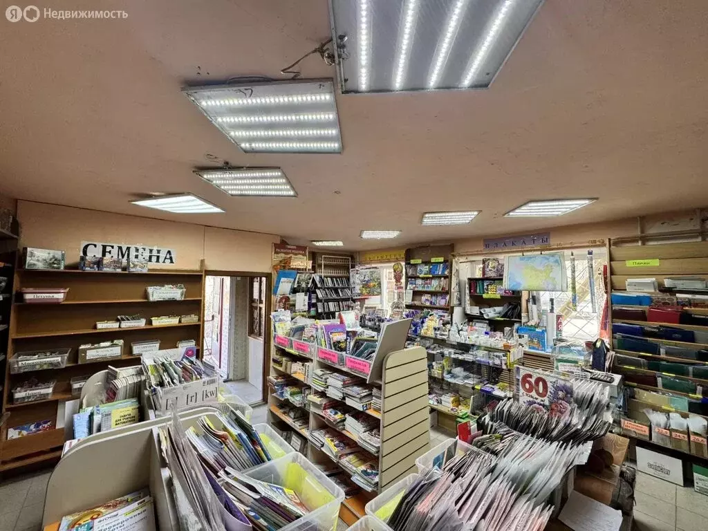 Торговая площадь (40.9 м) - Фото 2