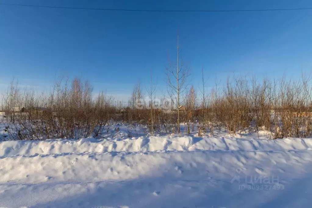 Участок в Тюменская область, Тюмень Большое Царево-1 ТСН,  (9.42 сот.) - Фото 1