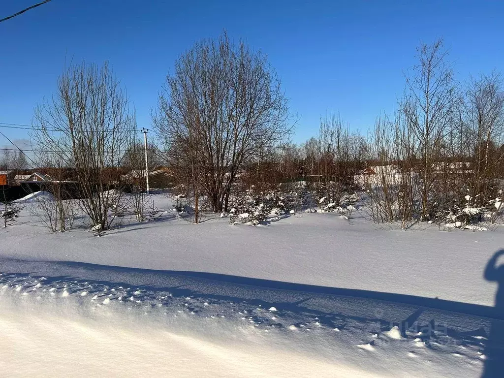 Участок в Московская область, Пушкинский городской округ, д. Матюшино  ... - Фото 2