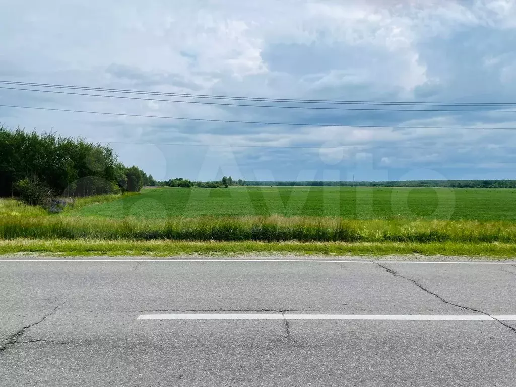 Участок 3950 га (СНТ, ДНП) - Фото 0