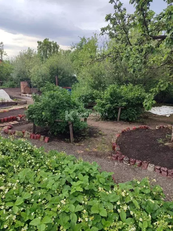 Дом в Челябинская область, Чебаркуль Литейщик СНТ,  (20 м) - Фото 2