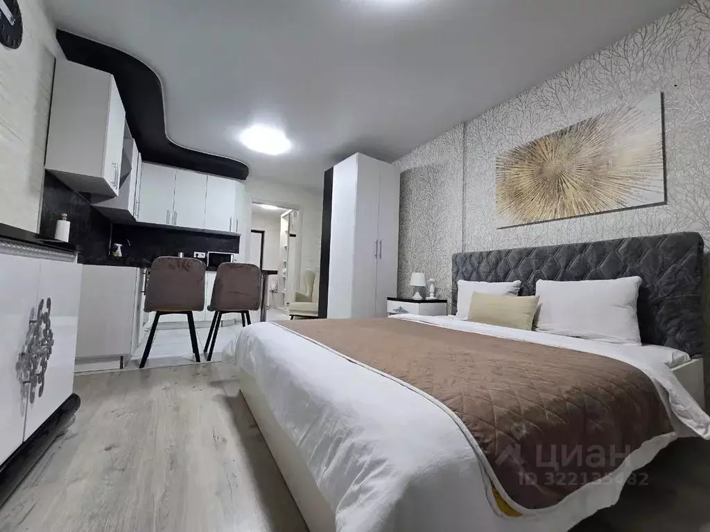 Студия Владимирская область, Владимир ул. Фейгина, 22 (30.0 м) - Фото 2