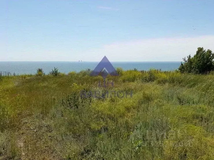 Участок в Ростовская область, Цимлянский район, Саркеловское с/пос, ... - Фото 2