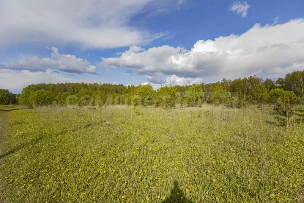 Участок в Калужская область, Жуковский район, с. Высокиничи  (223.0 ... - Фото 2