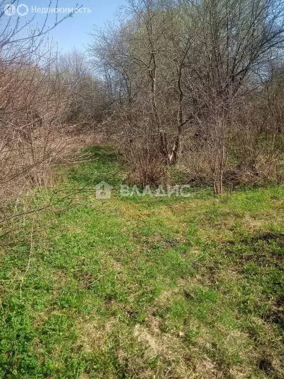 Участок в Владимирская область, Суздальский муниципальный округ, село ... - Фото 1