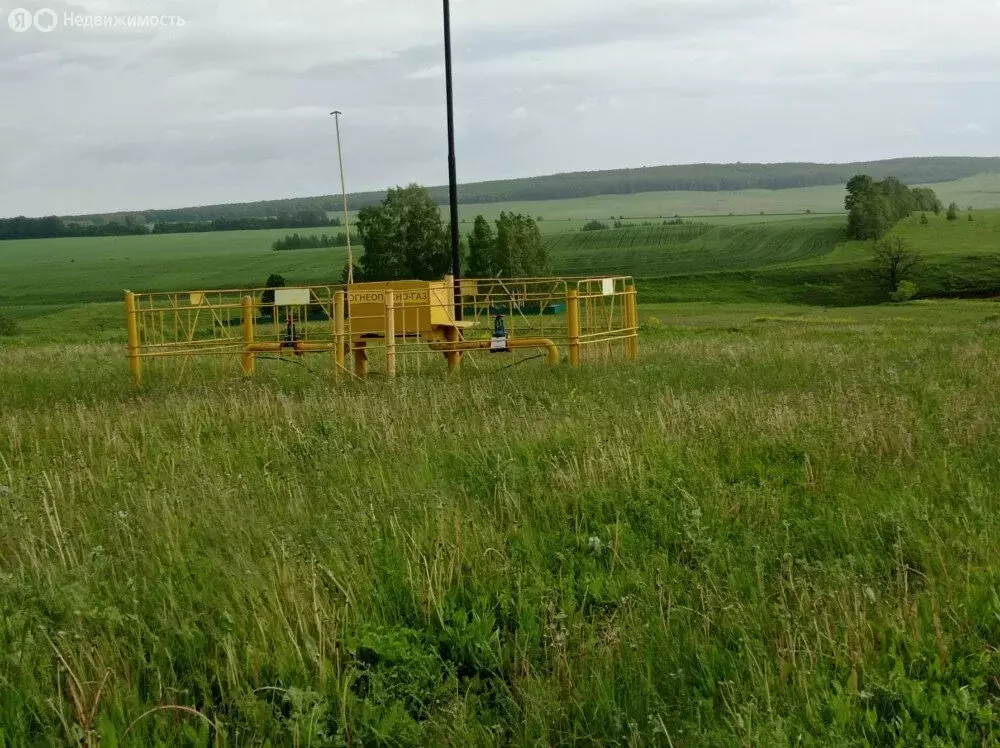 Участок в Кармаскалинский район, Старомусинский сельсовет, деревня ... - Фото 0