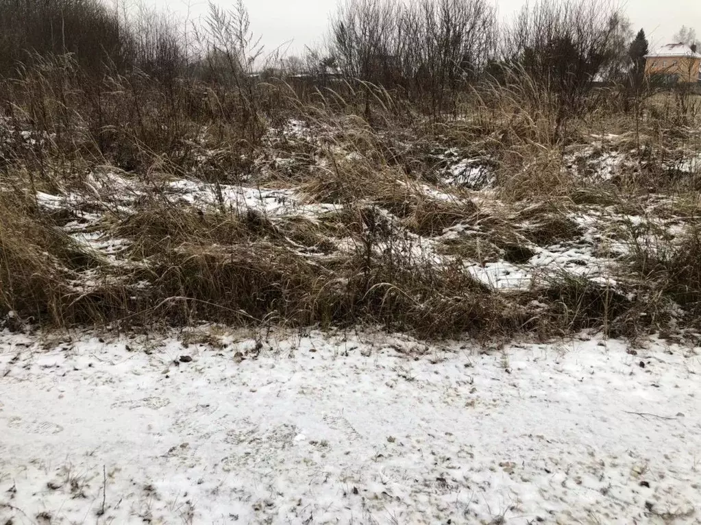 Участок в Московская область, Орехово-Зуевский городской округ, д. ... - Фото 0