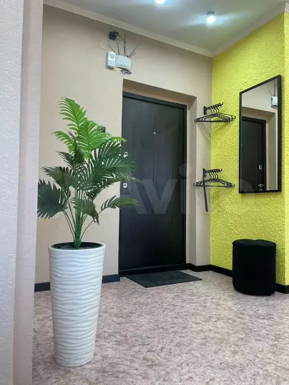 Квартира-студия, 28 м, 5/9 эт. - Фото 1
