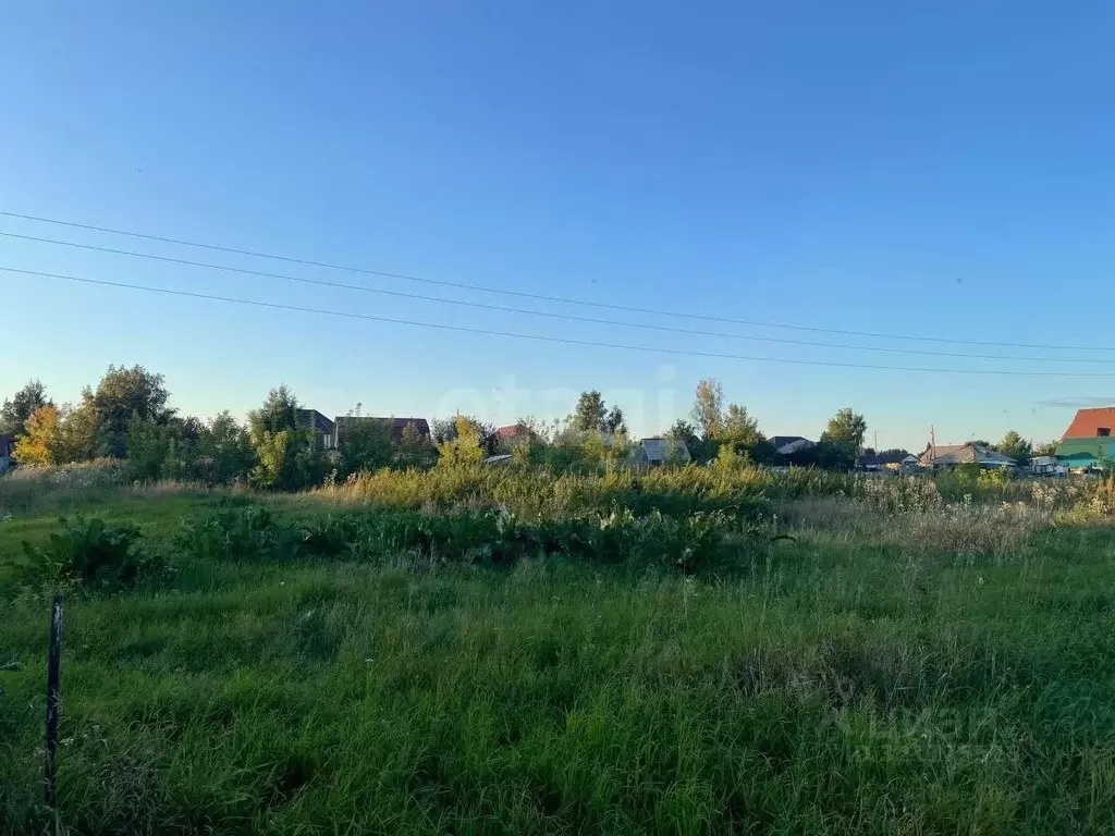 Участок в Новосибирская область, Новосибирский район, с. Ярково ... - Фото 1