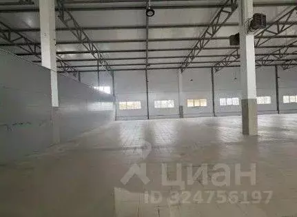 Склад в Ленинградская область, Отрадное Кировский район, Ленинградское ... - Фото 1