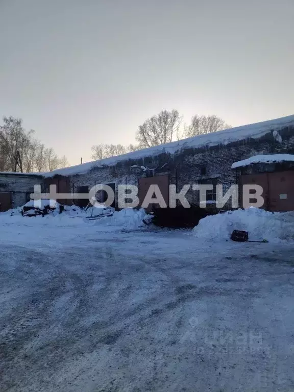 Помещение свободного назначения в Кемеровская область, Прокопьевск ул. ... - Фото 1