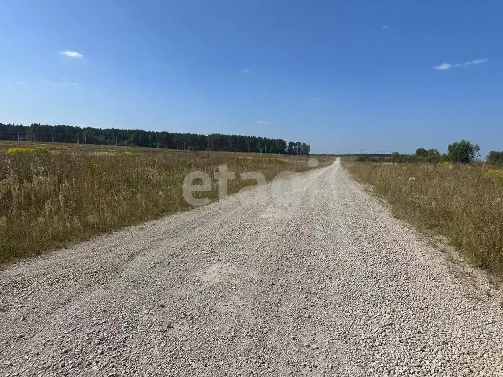 Участок в Брянская область, Брянский район, Новодарковичское с/пос, д. ... - Фото 1