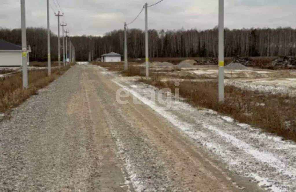 Участок в Тюменская область, Тюменский муниципальный округ, ... - Фото 1