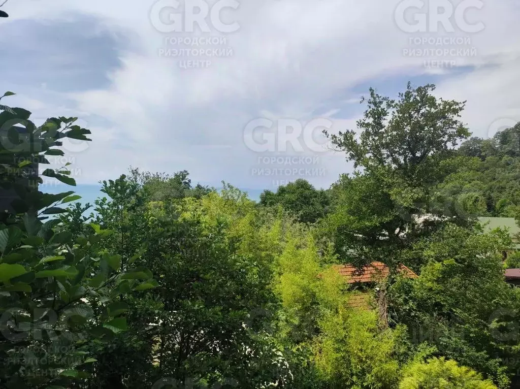 Участок в Краснодарский край, Сочи ул. Ручей Видный (8.0 сот.) - Фото 2