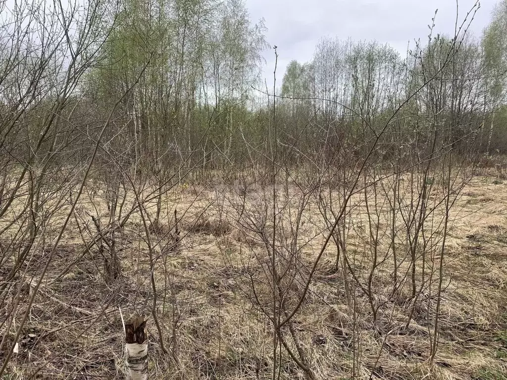 Участок в Костромская область, Красное-на-Волге городское поселение, ... - Фото 0