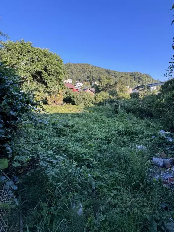 Участок в Краснодарский край, Сочи Новая Мацеста мкр, ул. Фурманова, ... - Фото 1