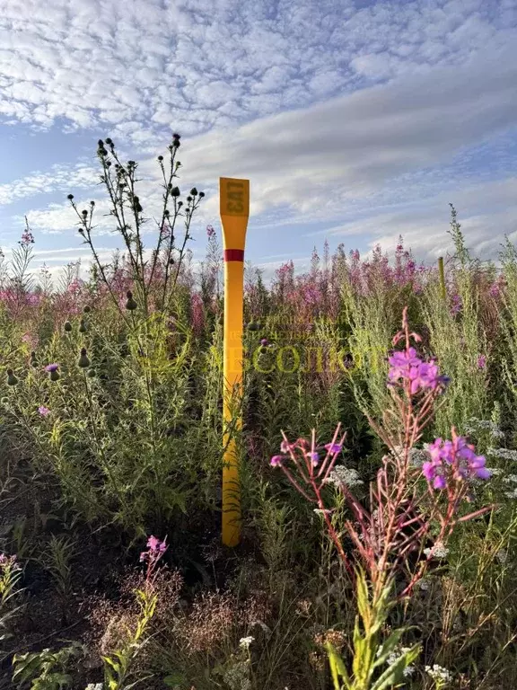 Участок в Свердловская область, Ревда ул. Лучистая, 31 (10.5 сот.) - Фото 2