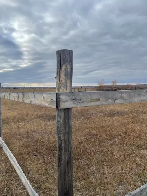 Участок в Саха (Якутия), Якутск городской округ, с. Сырдах  (10.0 ... - Фото 2