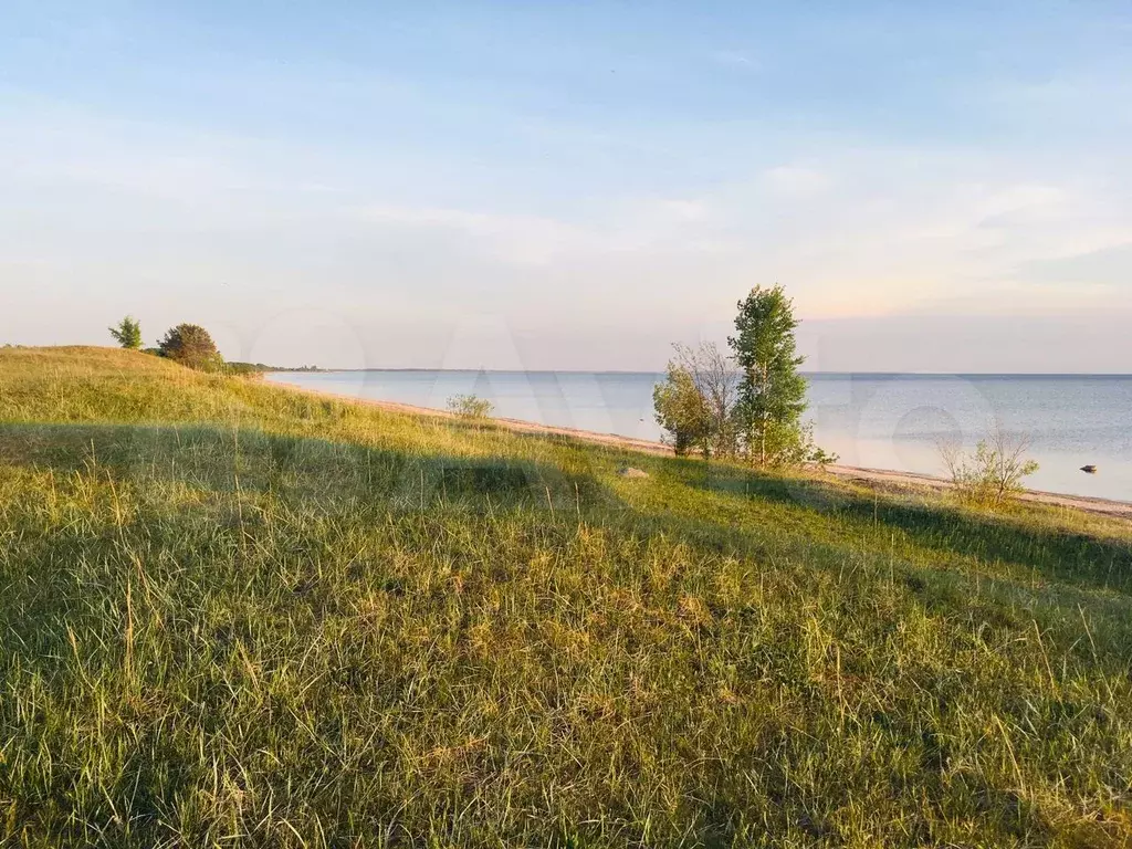 Купить Участок В Гдовском Районе Псковской