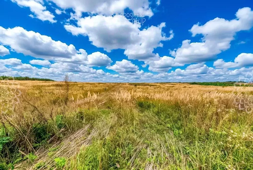Участок в Московская область, Солнечногорск городской округ, д. ... - Фото 1
