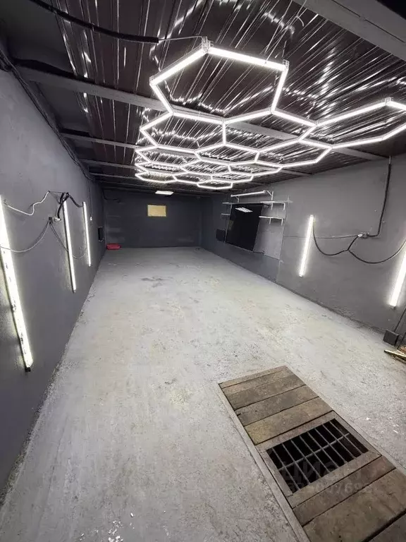 Помещение свободного назначения в Новосибирская область, Новосибирск ... - Фото 1