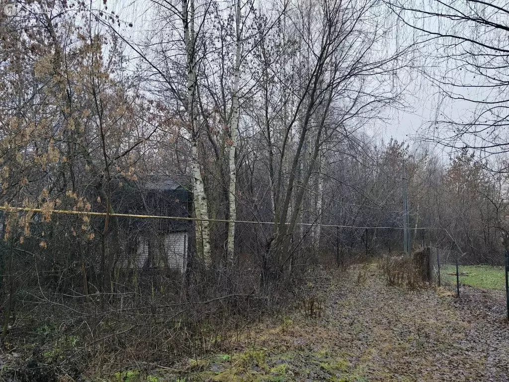 Участок в Нижегородская область, Бор (6.2 м) - Фото 2