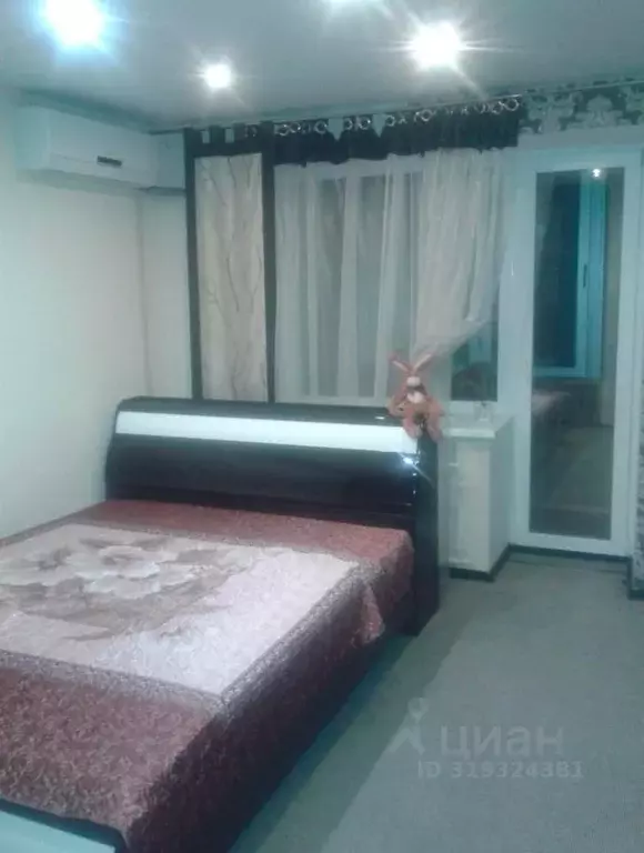 1-к кв. Воронежская область, Воронеж Плехановская ул., 22 (32.0 м) - Фото 1