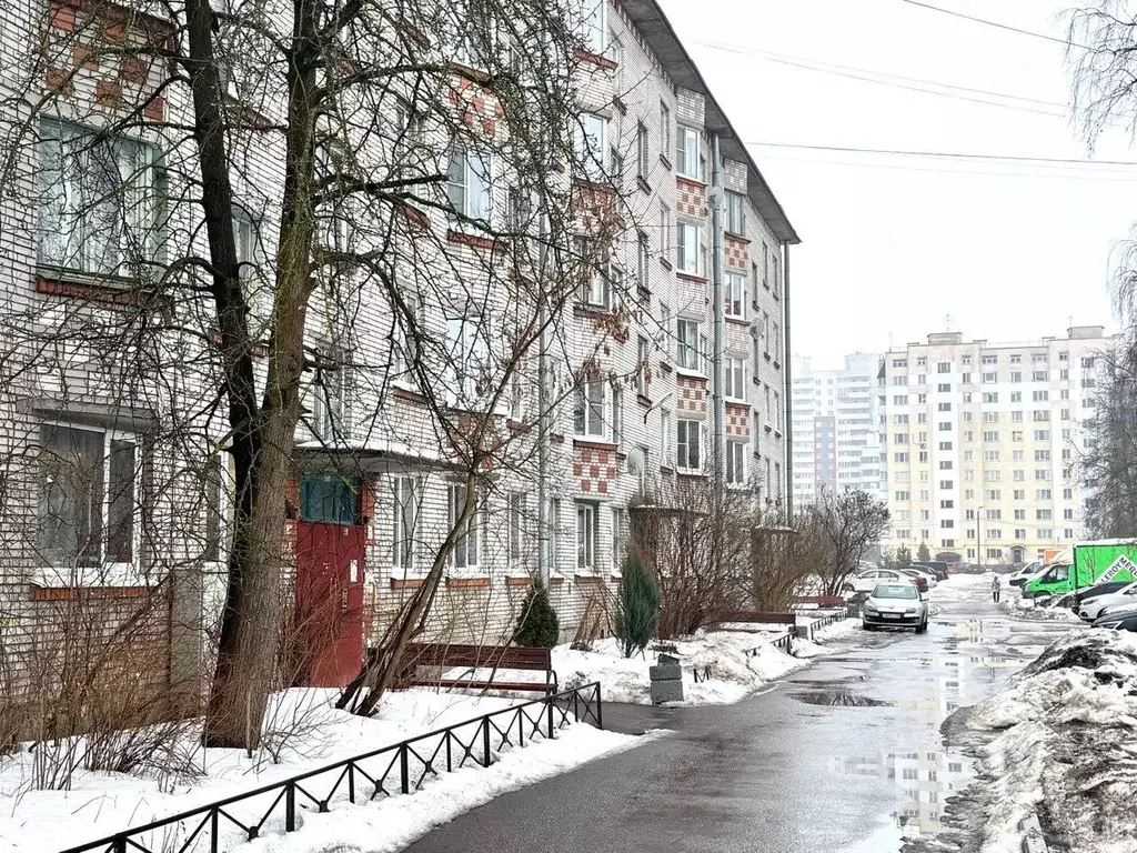 1-к кв. Санкт-Петербург пос. Парголово, ул. Первого Мая, 81 (31.1 м) - Фото 1