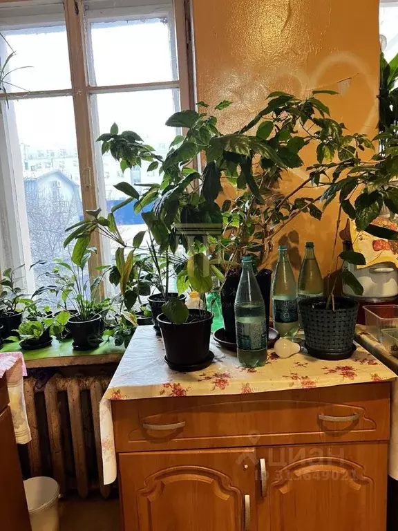 Комната Санкт-Петербург ул. Коли Томчака, 24 (19.0 м) - Фото 2