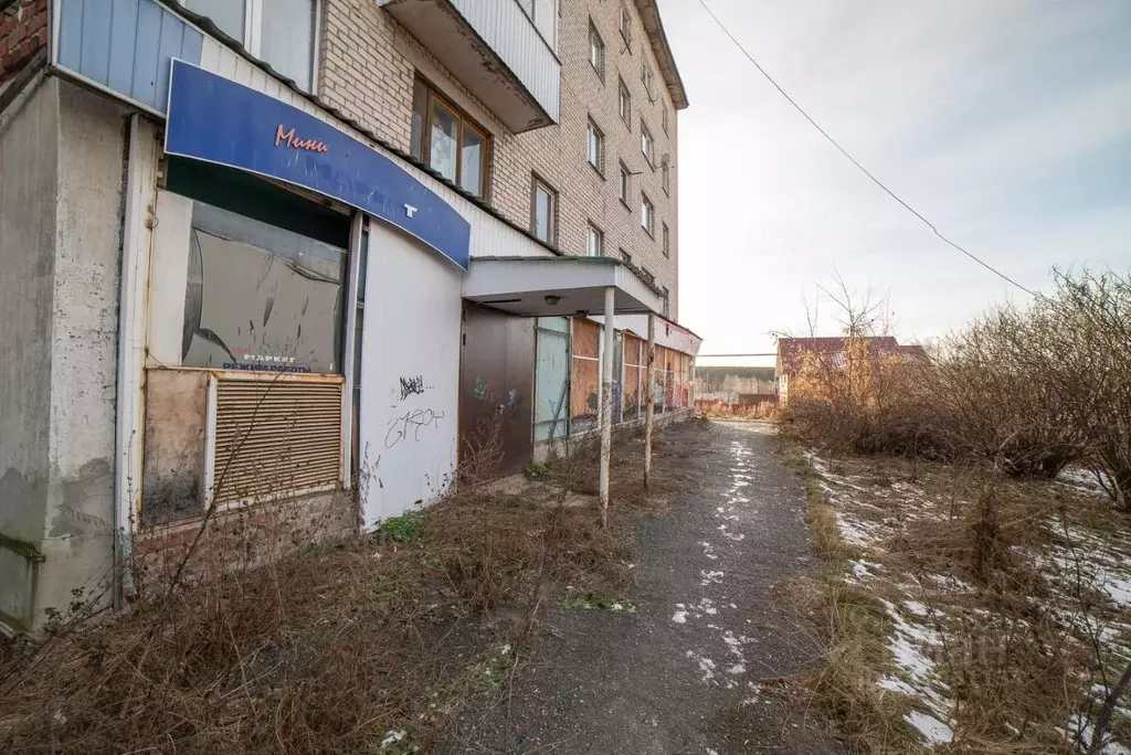 Торговая площадь в Свердловская область, Верхнее Дуброво пгт ул. ... - Фото 1