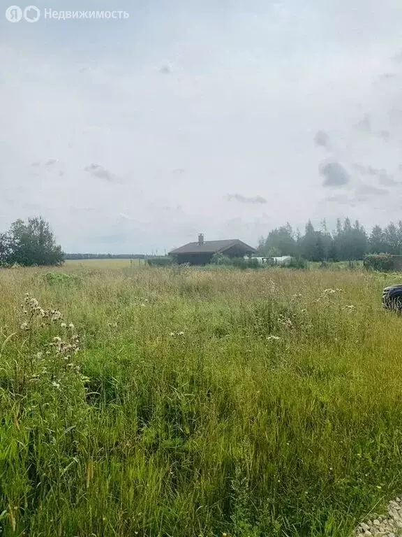 Участок в Волосовский район, Бегуницкое сельское поселение, деревня ... - Фото 2