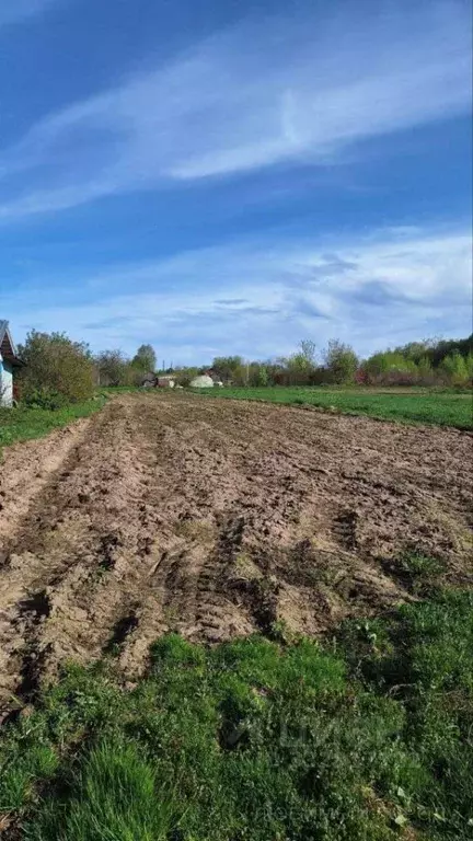 Участок в Нижегородская область, Городецкий муниципальный округ, с. ... - Фото 1