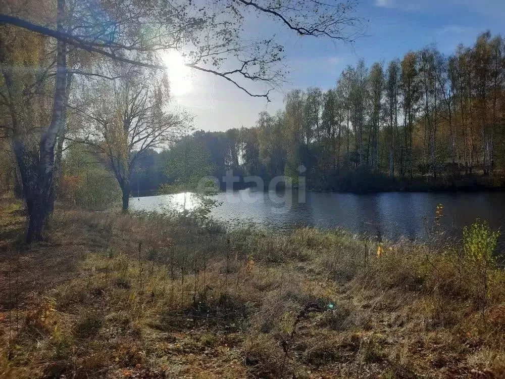 Участок в Калужская область, Село Бабынино с/пос, д. Альшаны  (20.0 ... - Фото 1