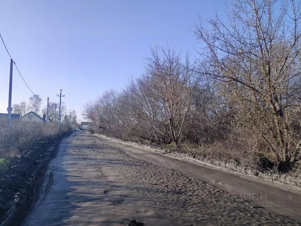 Участок в Воронежская область, Семилукское с/пос, с. Ендовище ул. ... - Фото 2