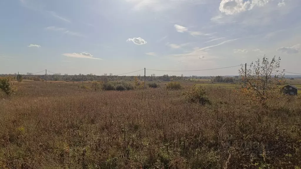 Участок в Башкортостан, Нуримановский район, Красногорский сельсовет, ... - Фото 2