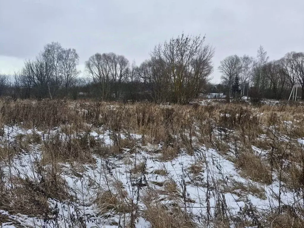 Участок в Московская область, Ступино городской округ, д. Дубнево  ... - Фото 1