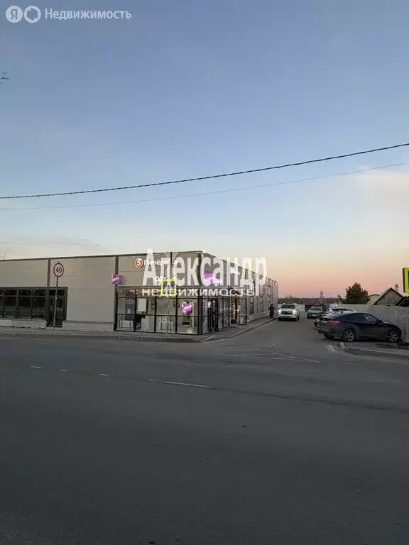 Торговая площадь (49 м) - Фото 2