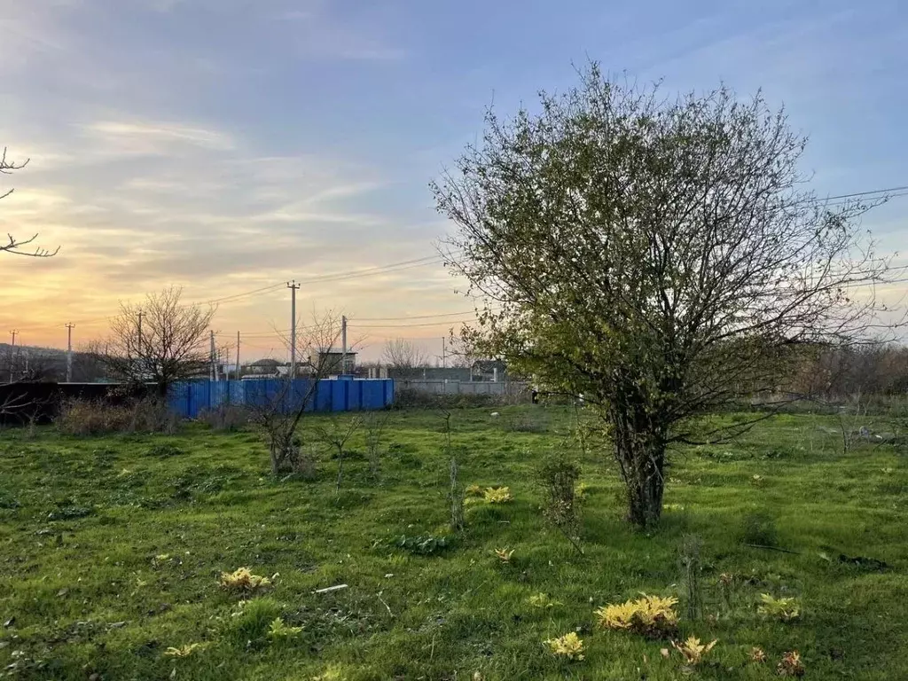 Участок в Краснодарский край, Анапа муниципальный округ, Куток хут. ... - Фото 2